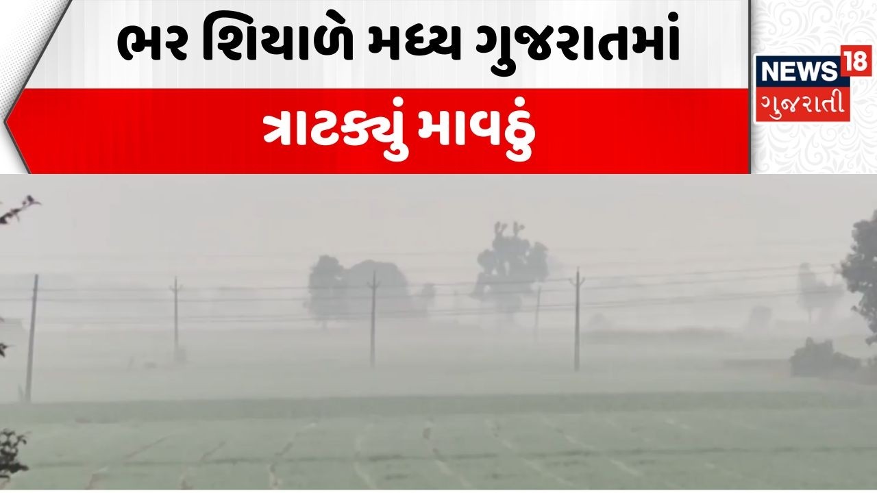 Unseasonal Rain In Gujarat | ભર શિયાળે મધ્ય ગુજરાતમાં ત્રાટક્યું માવઠું | Weather Forecast | News