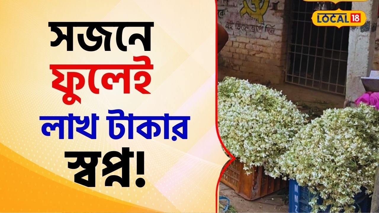 Bangla News: ডাটা নয় ফুলে বাজিমাত! সজনেই লাখ টাকার স্বপ্ন দেখাচ্ছে সুন্দরবনে #local18