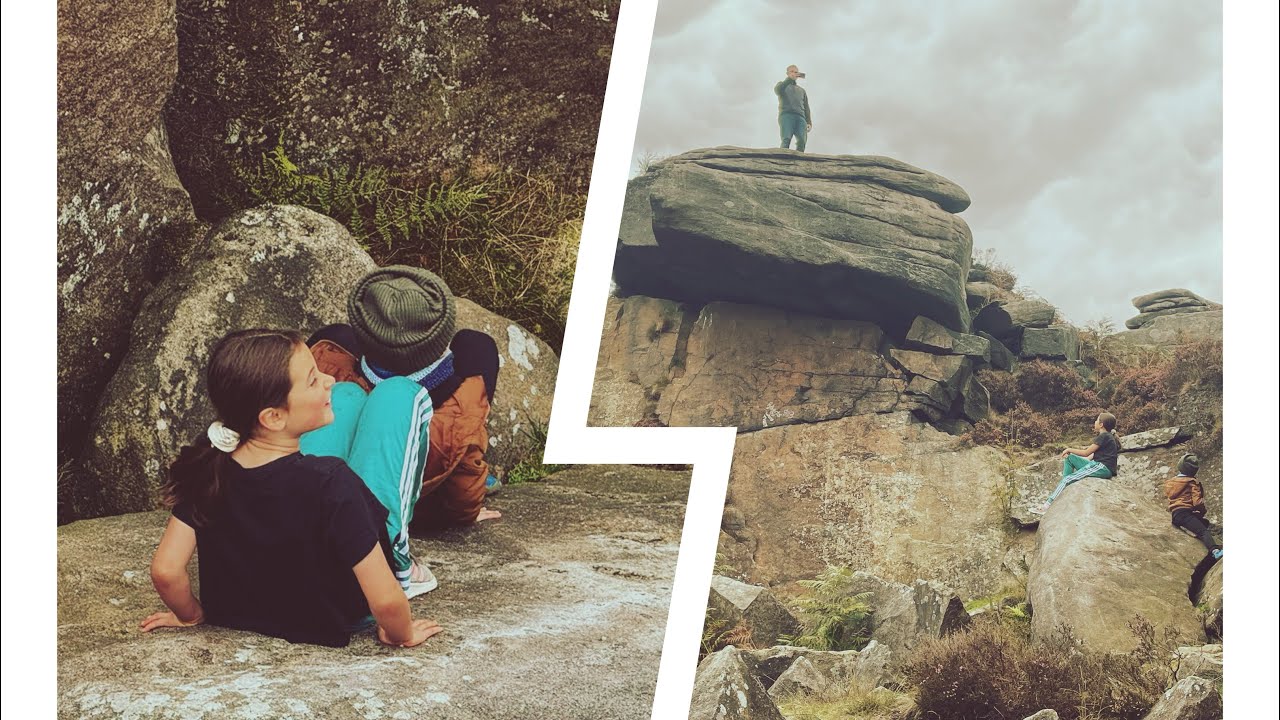 🍄 Mushroom Foraging with Kids | Forest Family Adventure