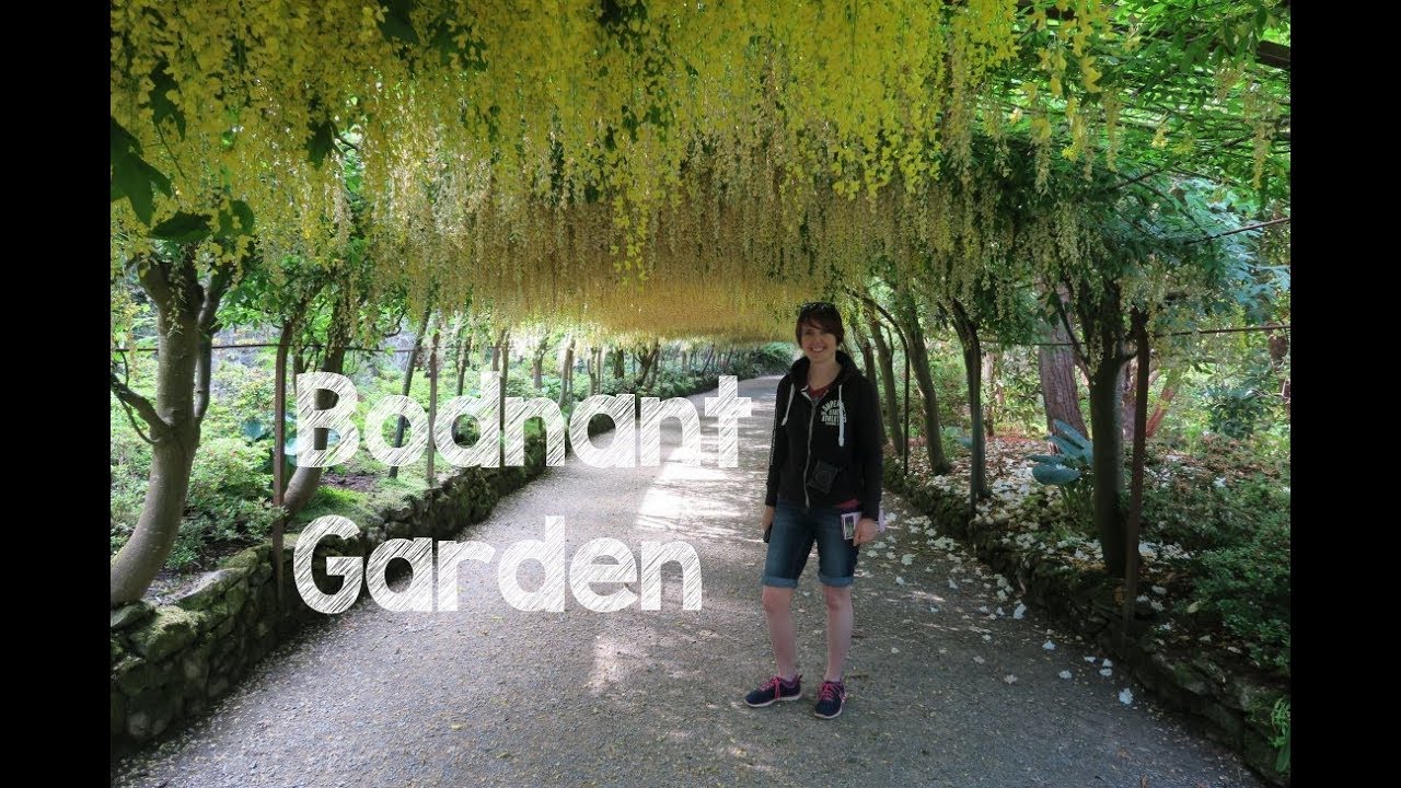 A visit to Bodnant Garden - National Trust
