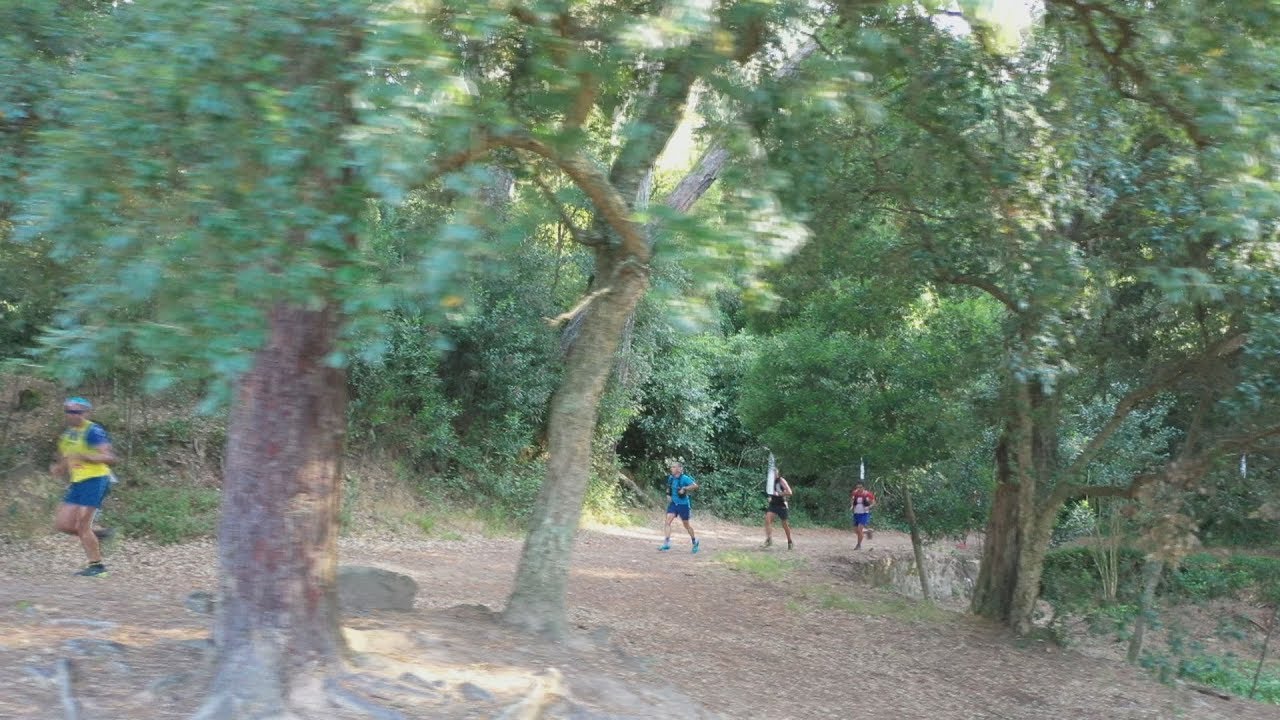 Trail: Sintra Trail X'treme - 07/07/2019