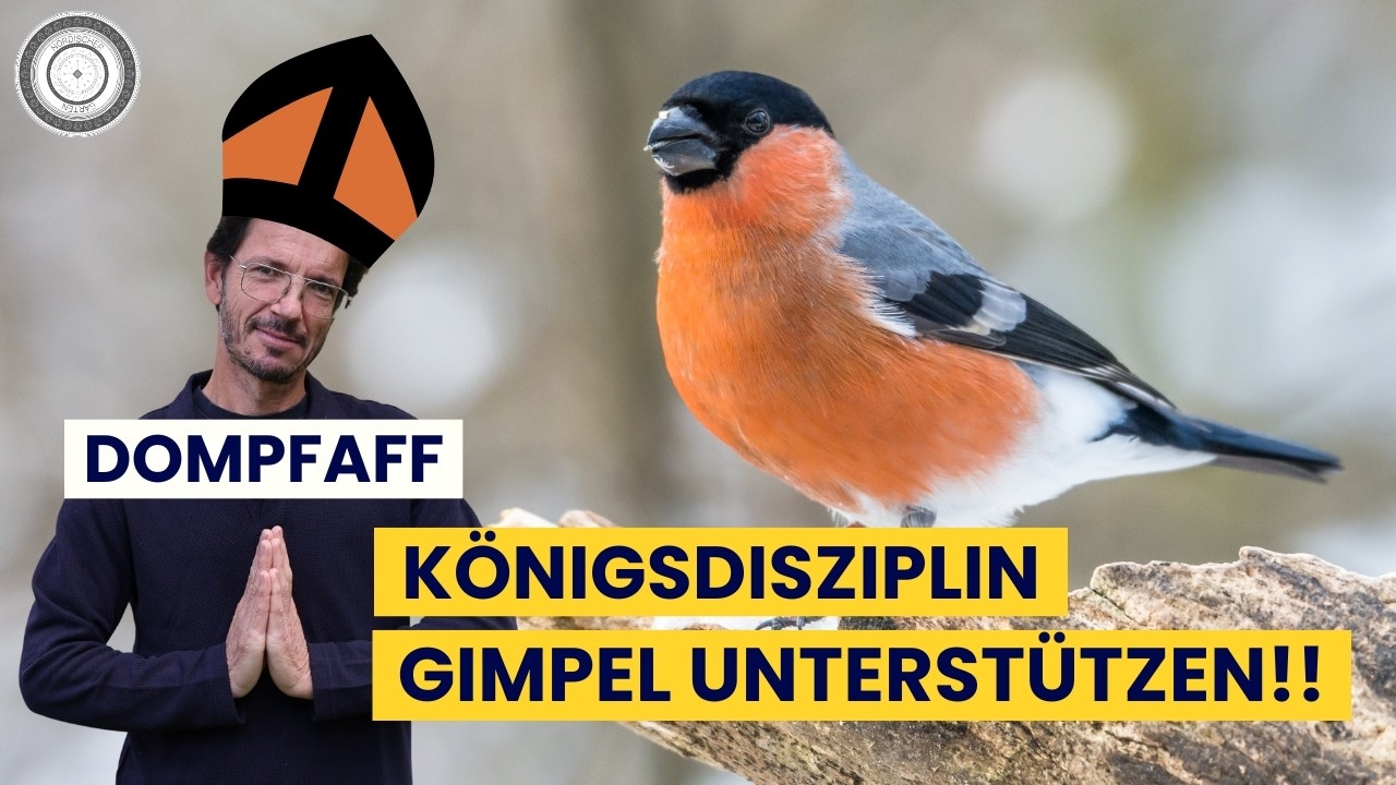 unser prächtigster VOGEL - SO kommt er auch in DEINEN GARTEN!