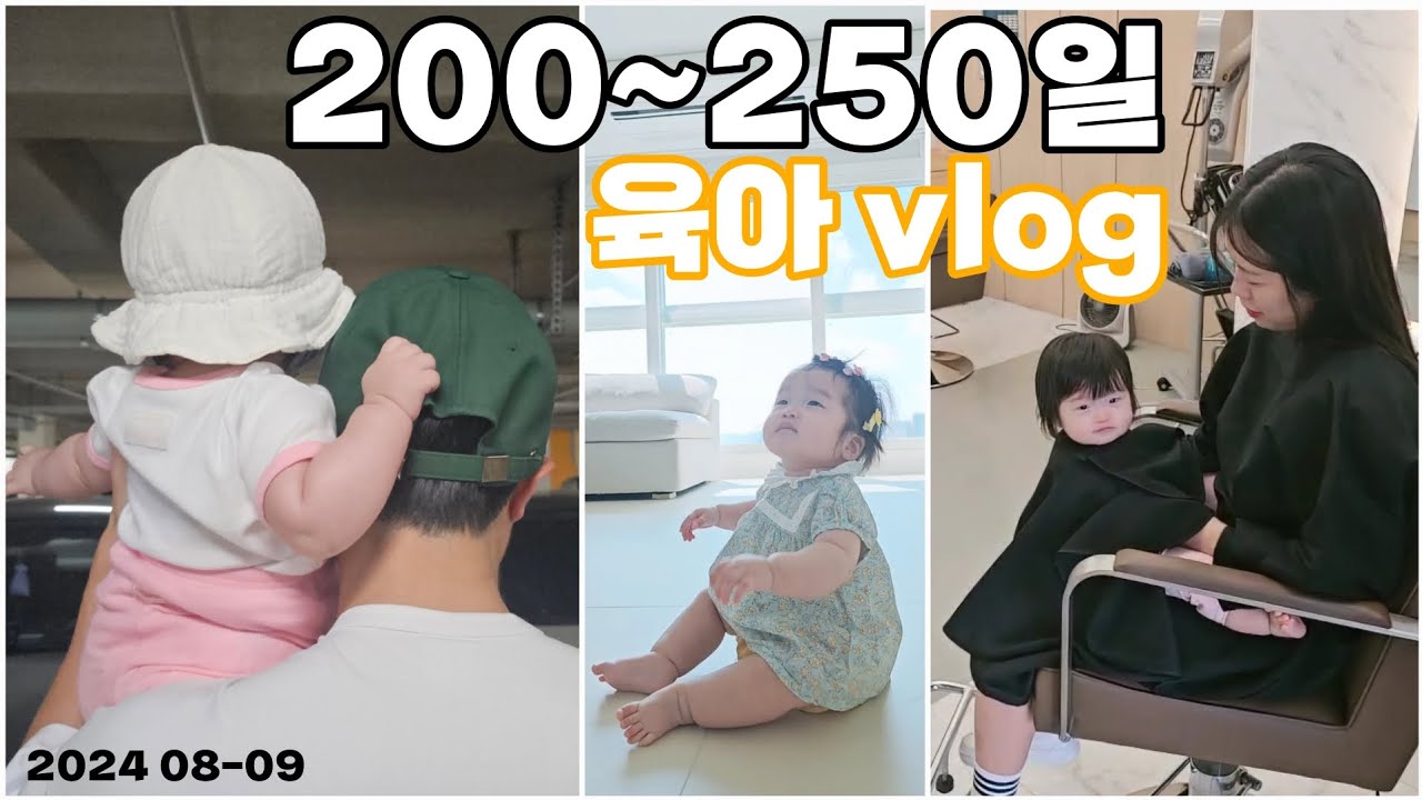 [망고] 200~250일 육아 Vlog