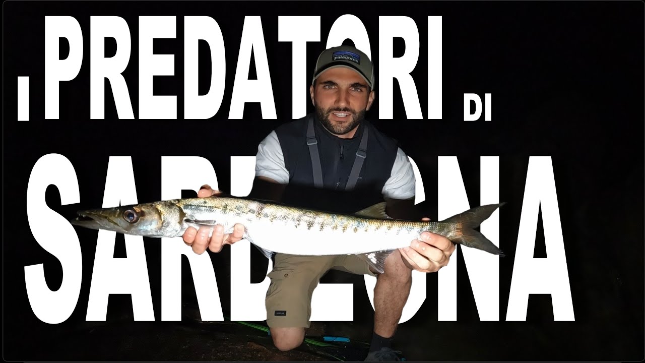 PREDATORI DI SARDEGNA Ep.1....a pesca nel Mediterraneo #fishing #predatorfishing