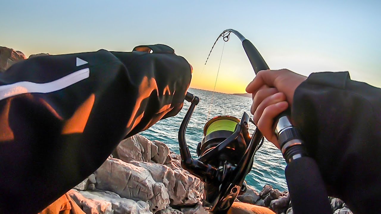 Combattimento con un enorme tonno da riva / Giant tuna fight landbased