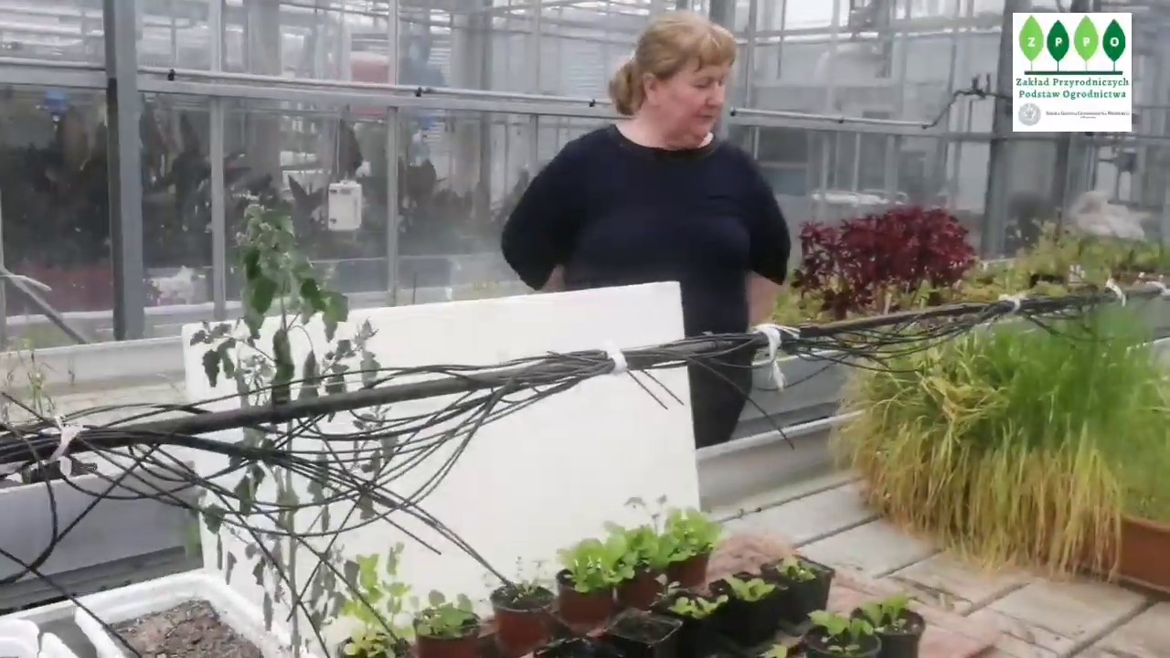 Ćwiczenia specjalistyczne ❇️ 5