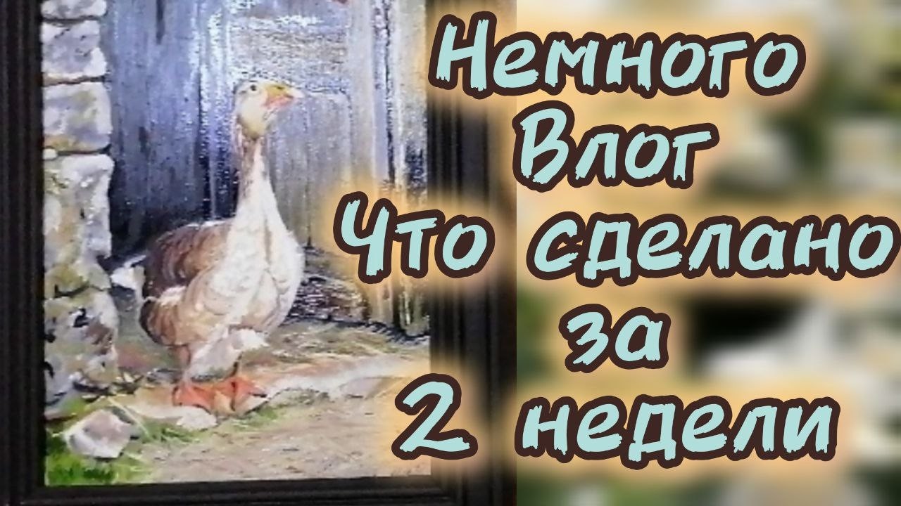 Влог. Жизнь художника. Успеваю не все, но очень стараюсь.