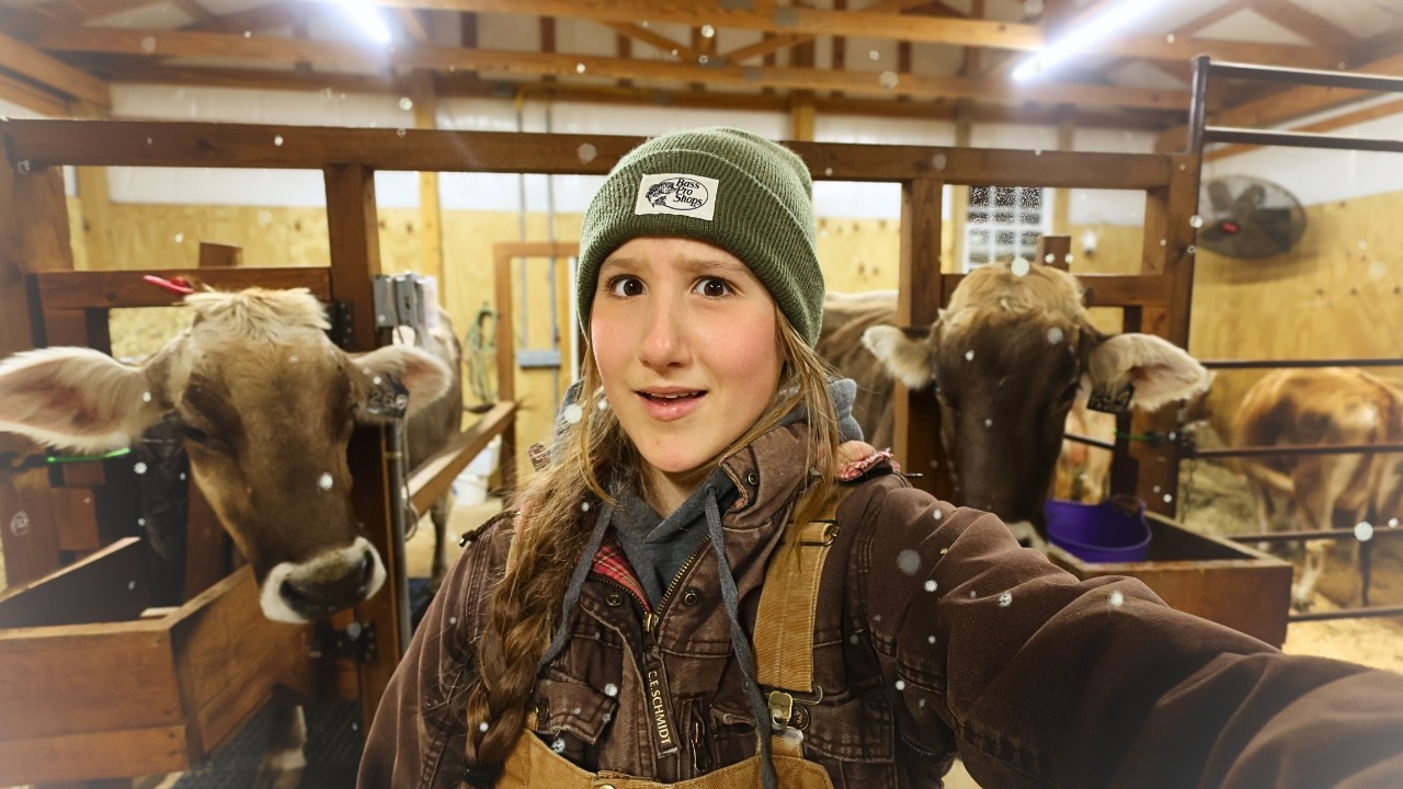 Winter Milking with a 17-Year-Old Farmer ~ Valentines Day Edition 💕❄️