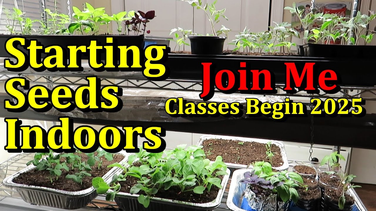Seed Starting Herbs, Flowers, & Vegetables Indoors (A Complete Beginners 2025 Class)