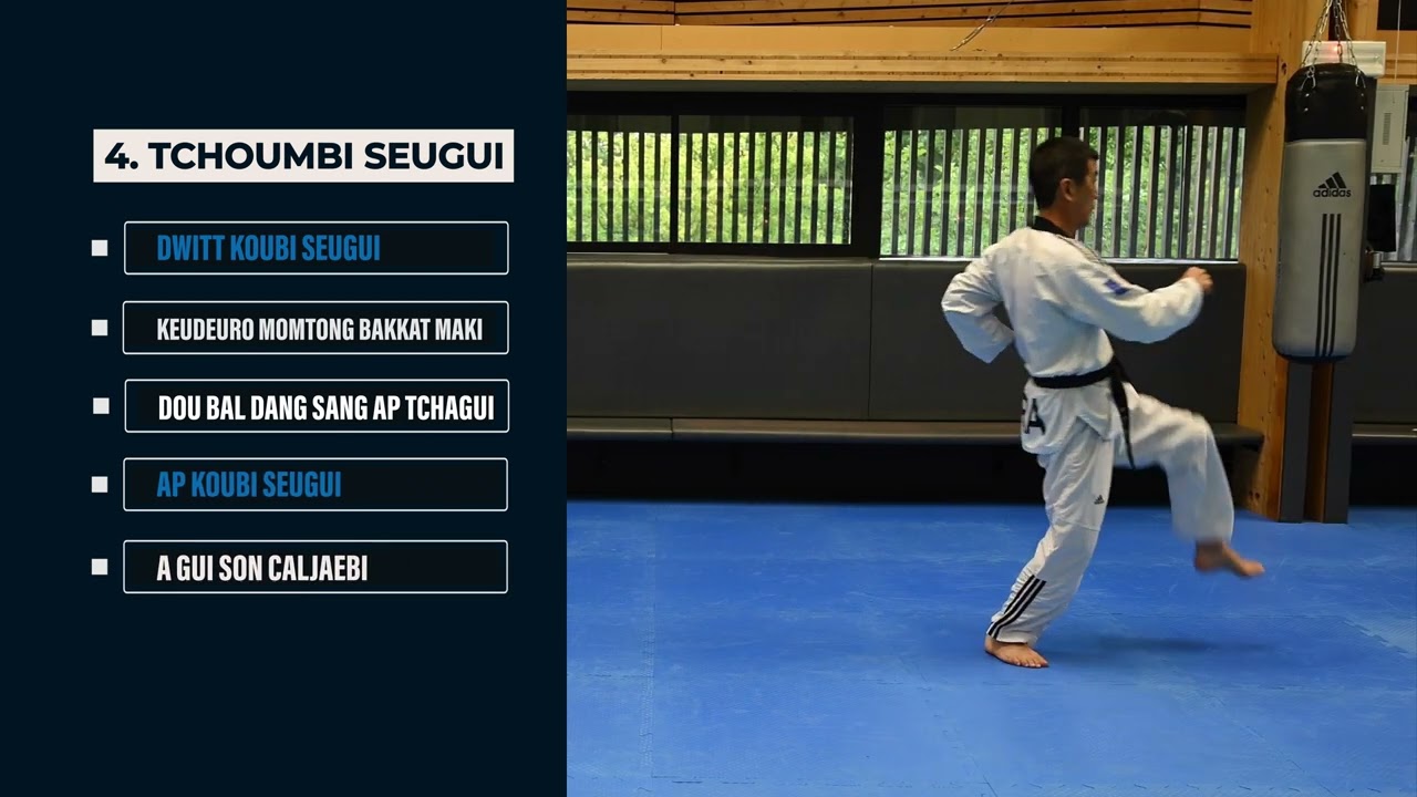 KIBON - 3e Dan - Membres Supérieurs + Inférieur