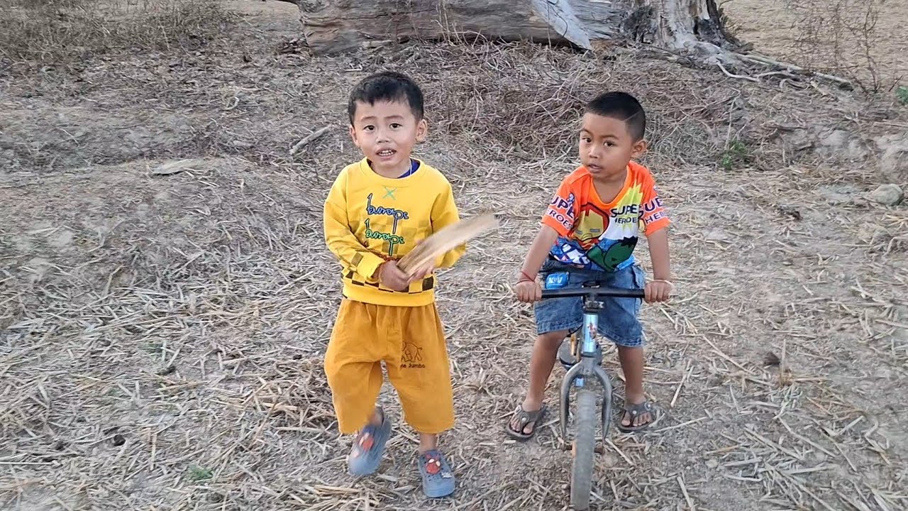 น้องกรน้องไก่พากันไล่งัวเข้าคอกเก่งๆ 4 กุมภาพันธ์ ค.ศ. 2026