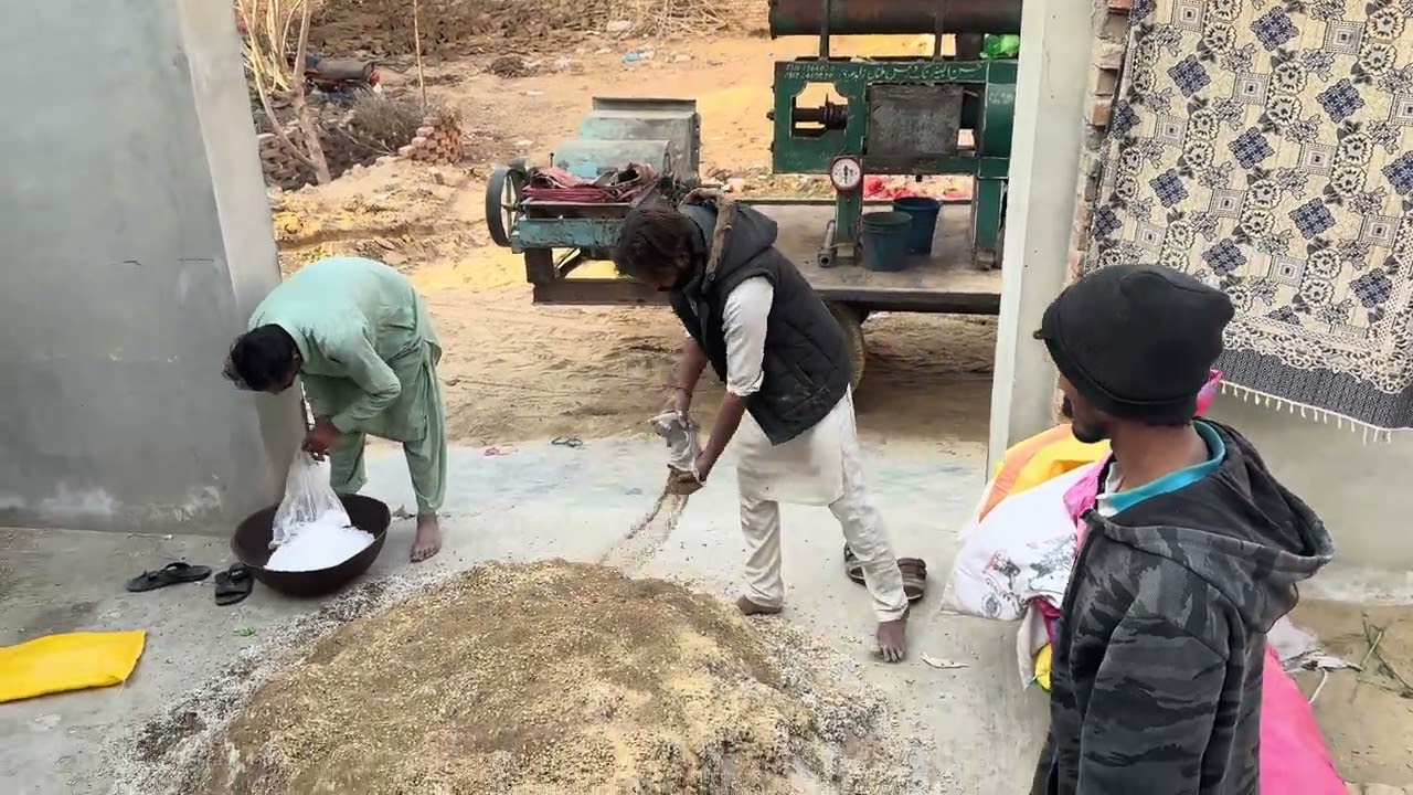 Homemade Cattle Feed Formula (Cheap + High Protein) | FarmEra Farm Vlog