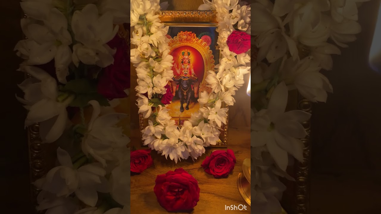 #vishnumaya #chathan #status #kuttichathan #astrology #viralvideo #song #status
