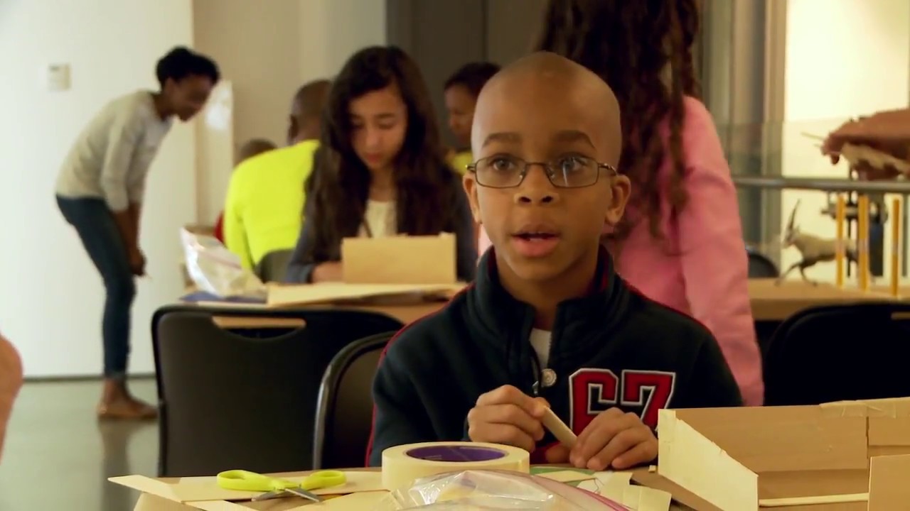BSA Foundation: Inspiring vision