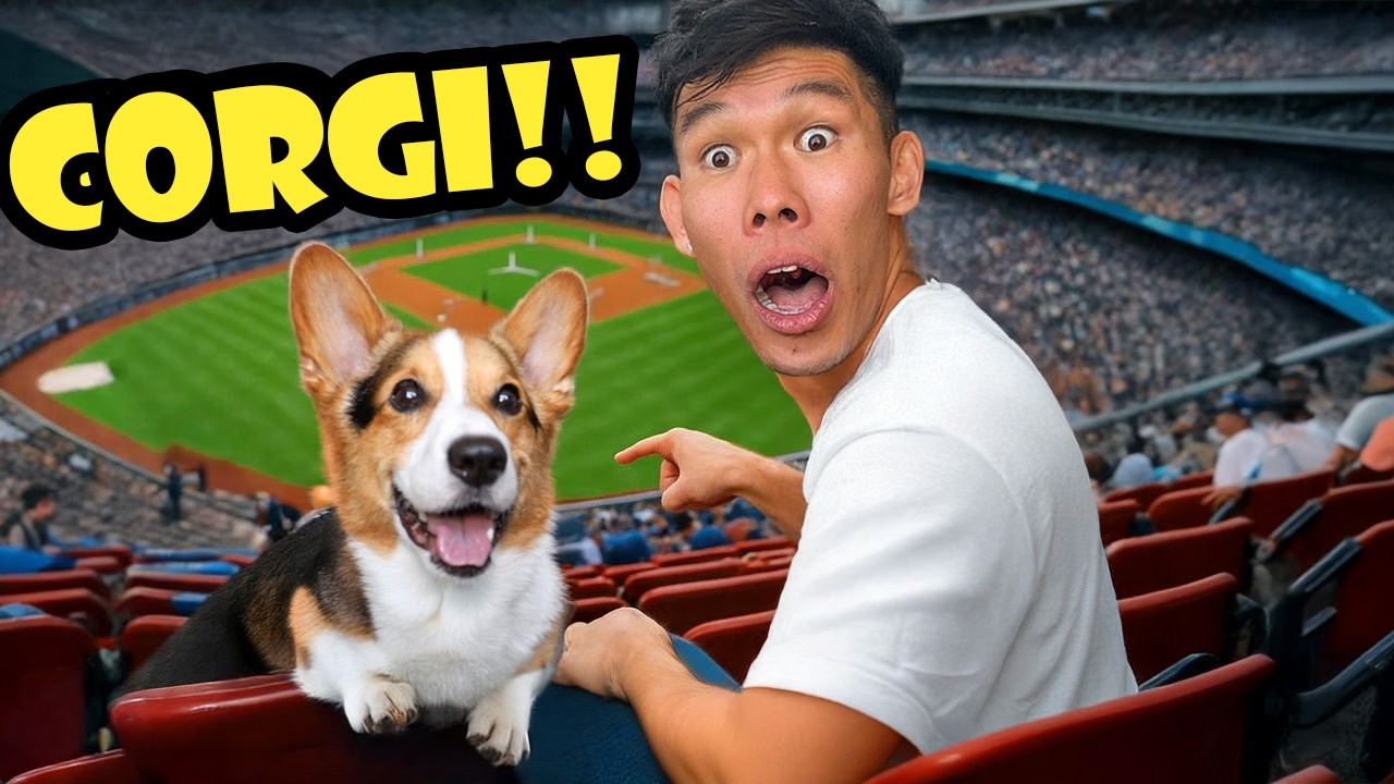 Haven’t Seen My Corgi This Excited in Years! - Road Trip Day 8 || Life After College: Ep. 808