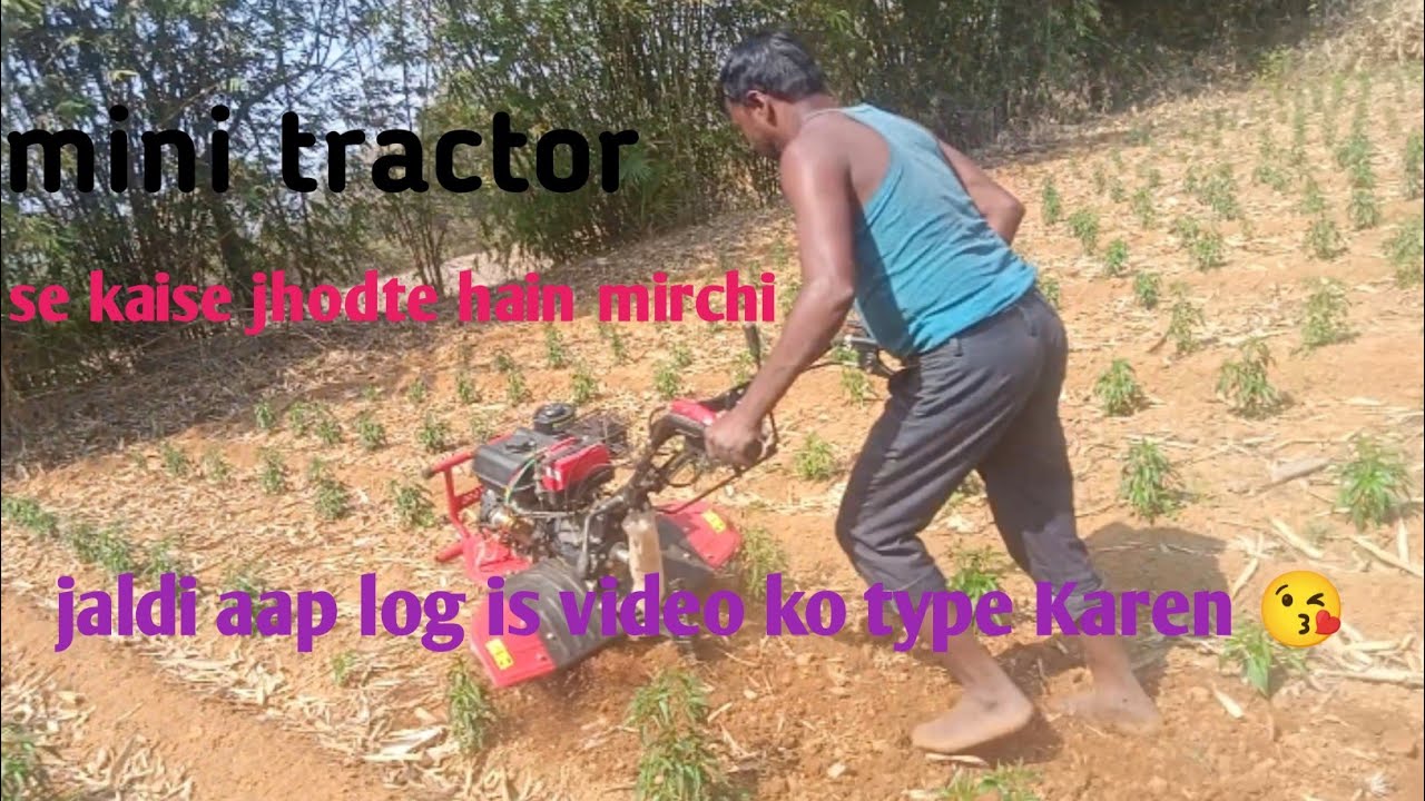 मिनी ट्रैक्टर से मिर्ची को कैसे जोतेहैं चलिए इस वीडियो को टाइप करें और वीडियो को पूरा देखें#ass23