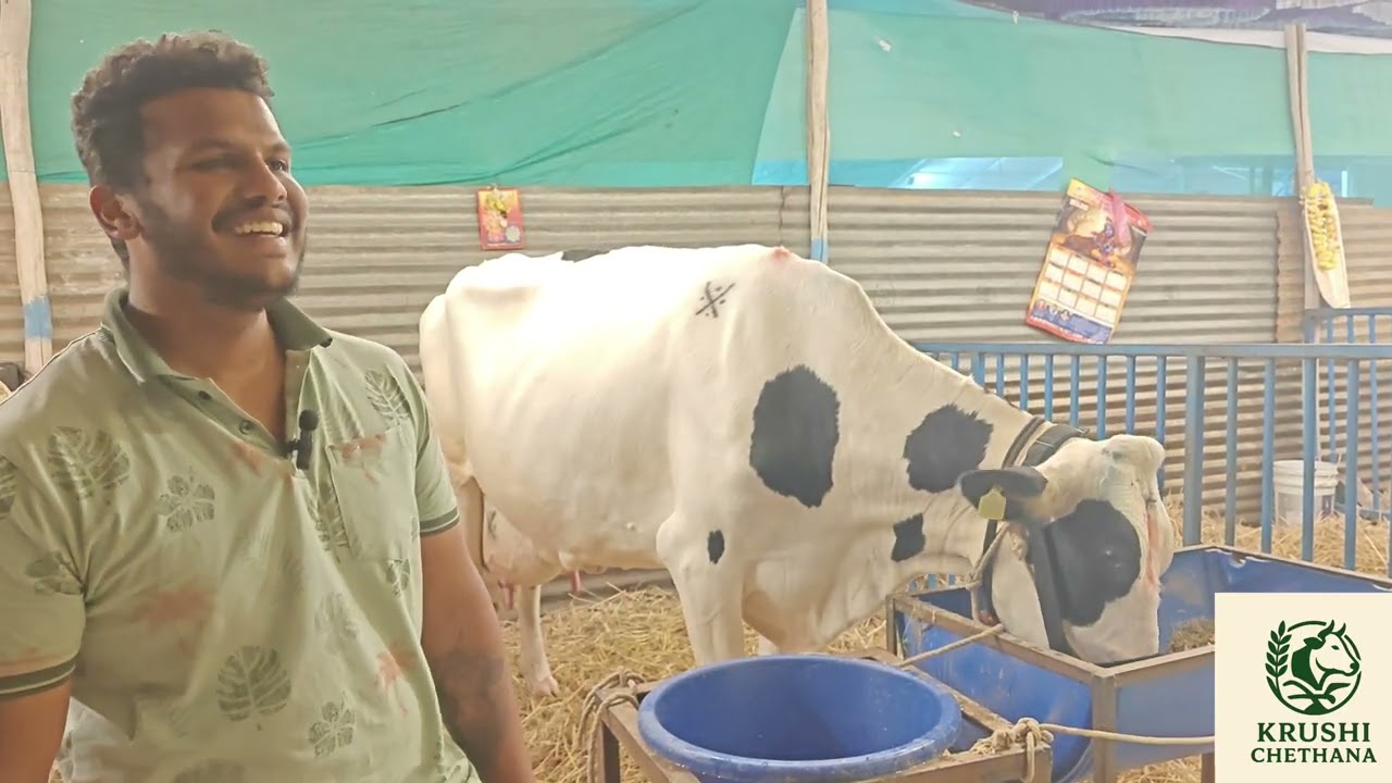 Karnataka state level Milking competition|1st Prize 1, 50,000..💰💸#cow #competition #mysore #dairy 