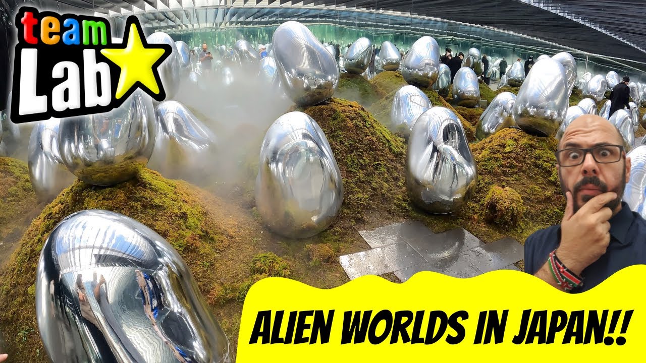 Team Lab Planets TOKYO - AMAZING Immersive Art experience - Things to do in Tokyo