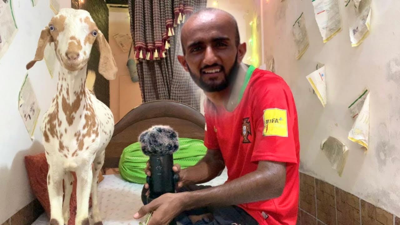 ASMR With Goat 🐐