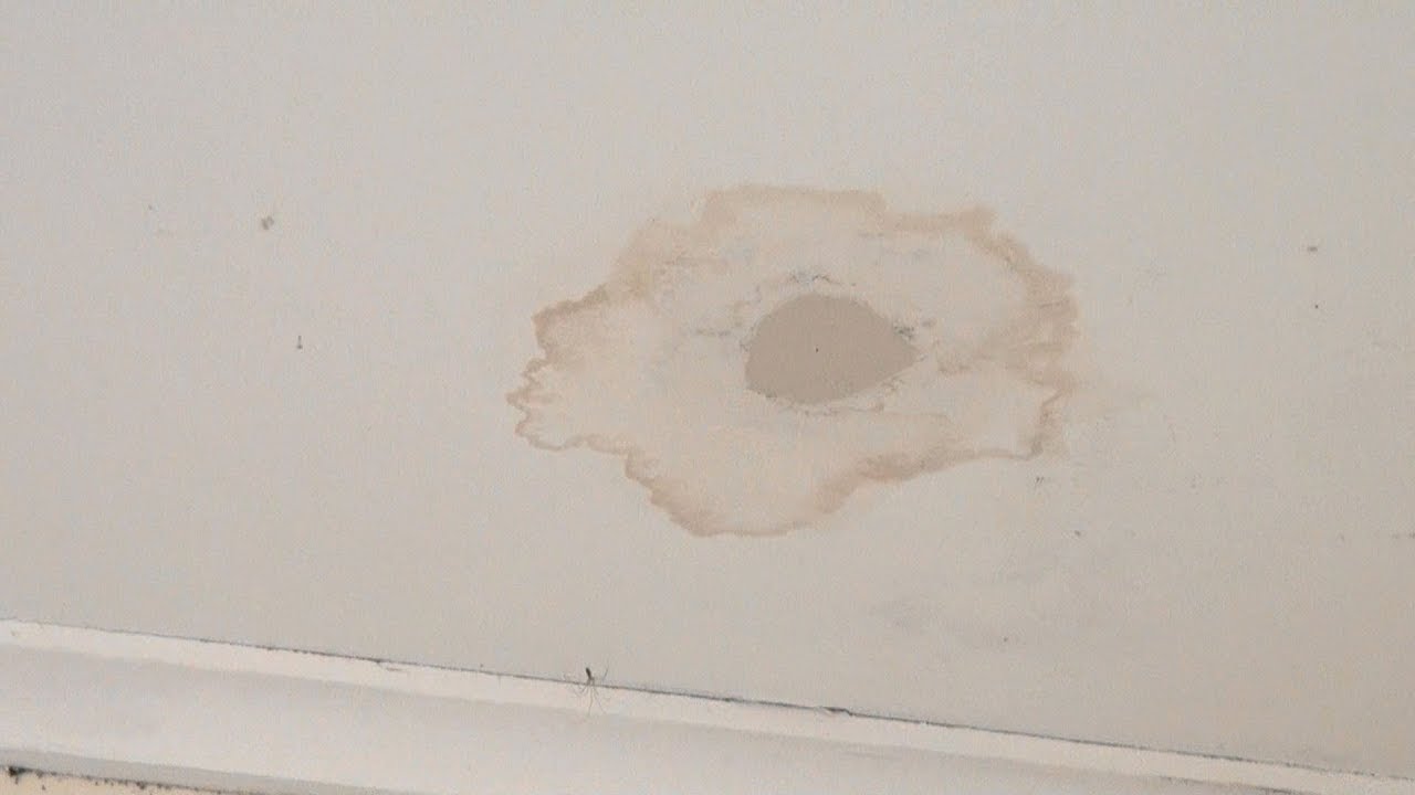 How to stop water stains from bleeding through paint - How to hide water stains alternative