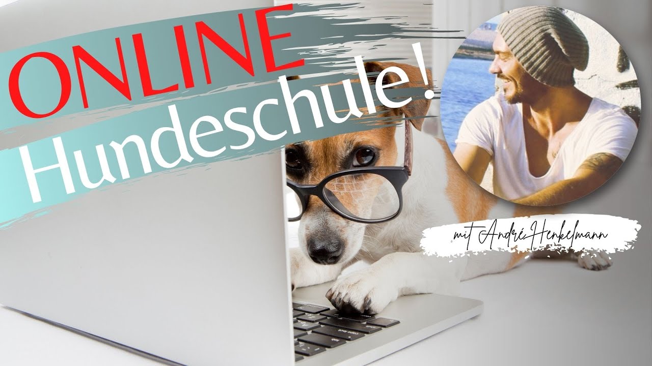 So funktioniert meine Online-Hundeschule!