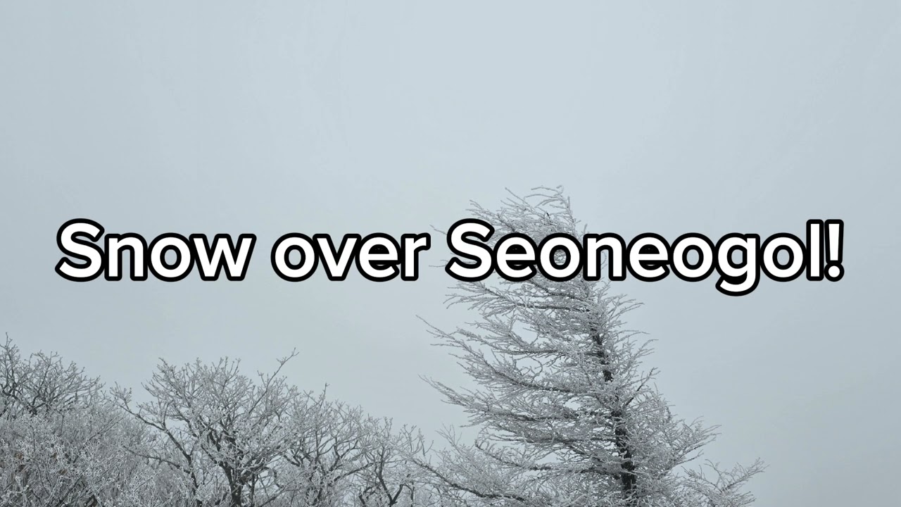 Snow over Seoneogol!