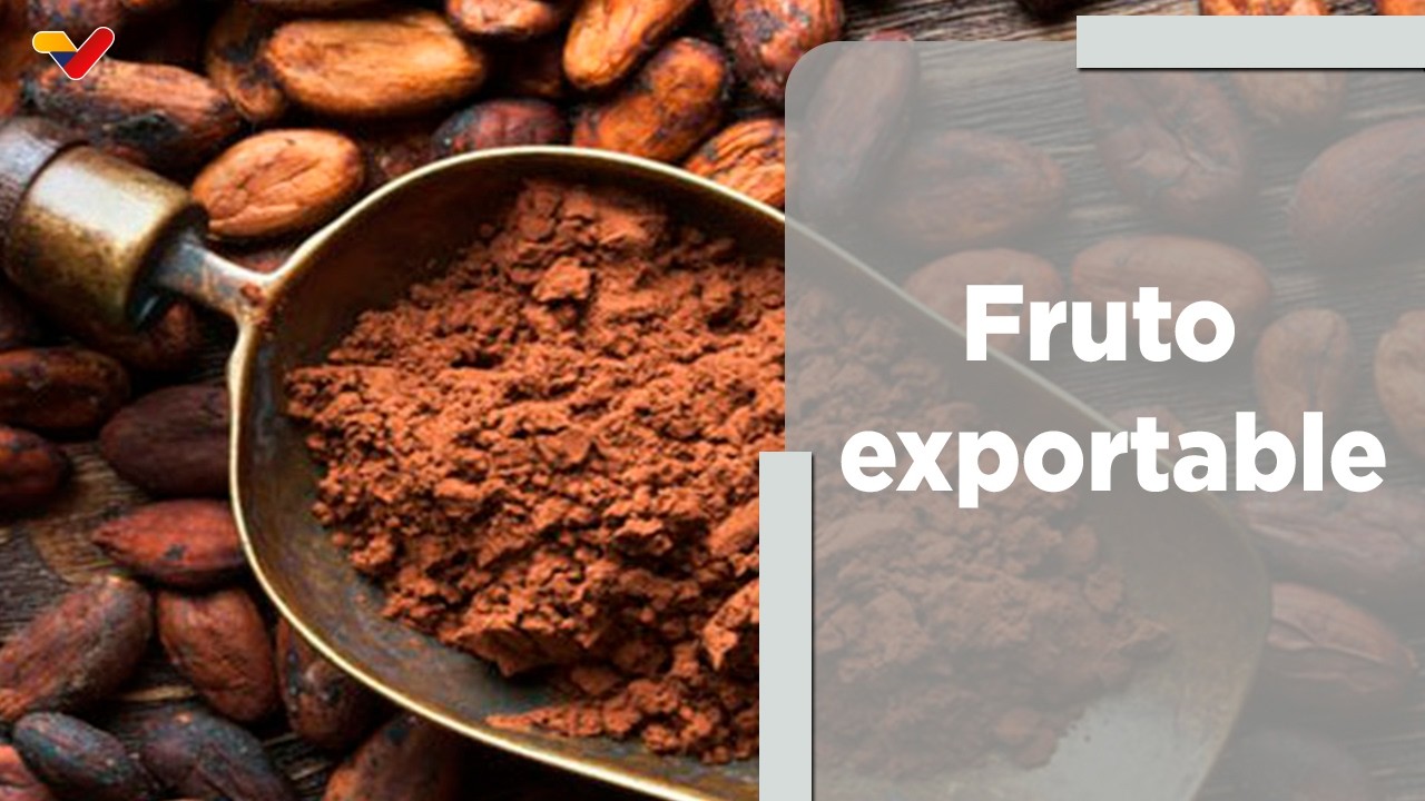 Al Día | Cacao venezolano: Joya de exportación