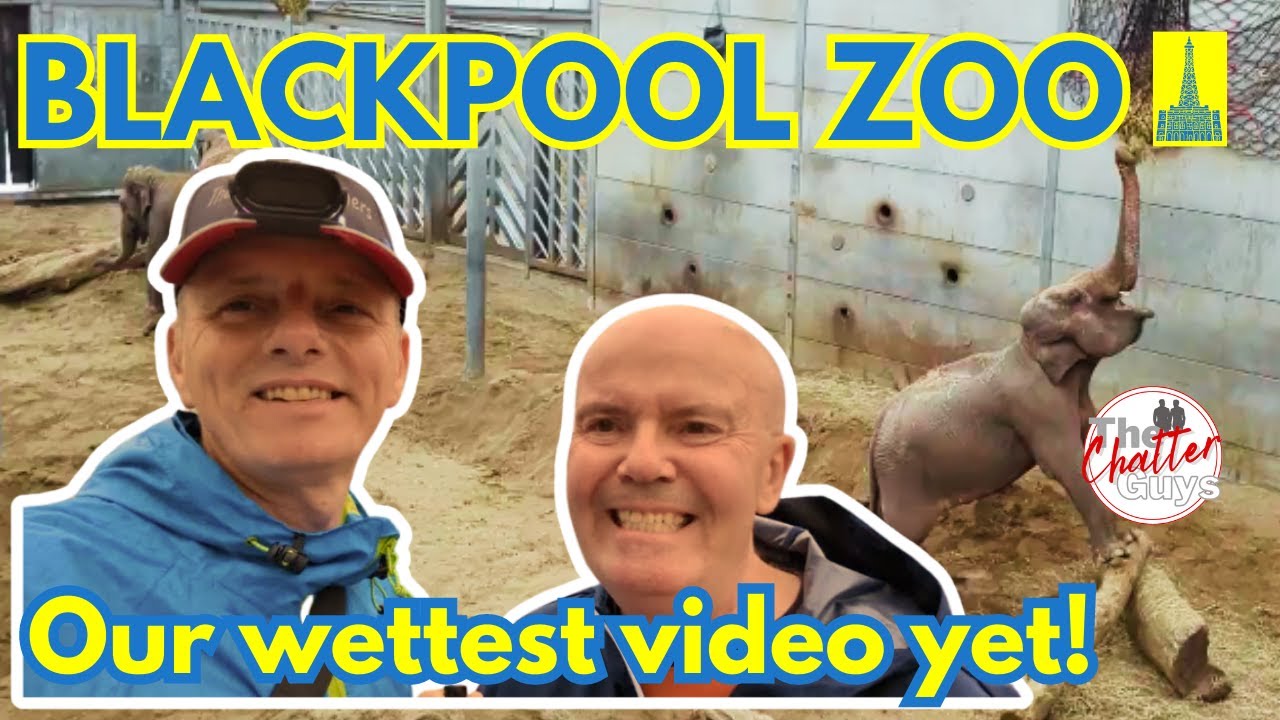 It's WILD And WET At Blackpool Zoo!