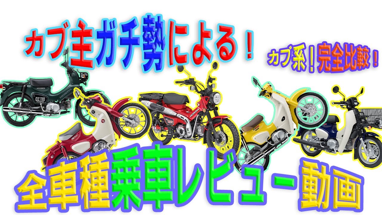 【史上初】カブ系全車種乗車レビューとカスタム【作業用BGM】