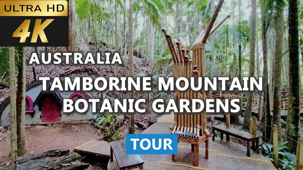 [4k] Tamborine Mountain Botanic Gardens Tour |  Tamborine Botanic Gardens | Gold Coast must see