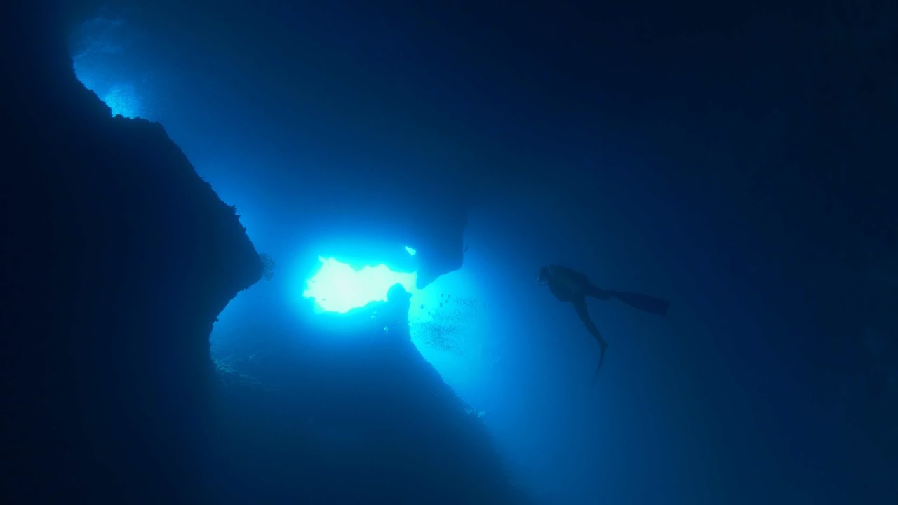 Diving Palau 4k with Neco Marine