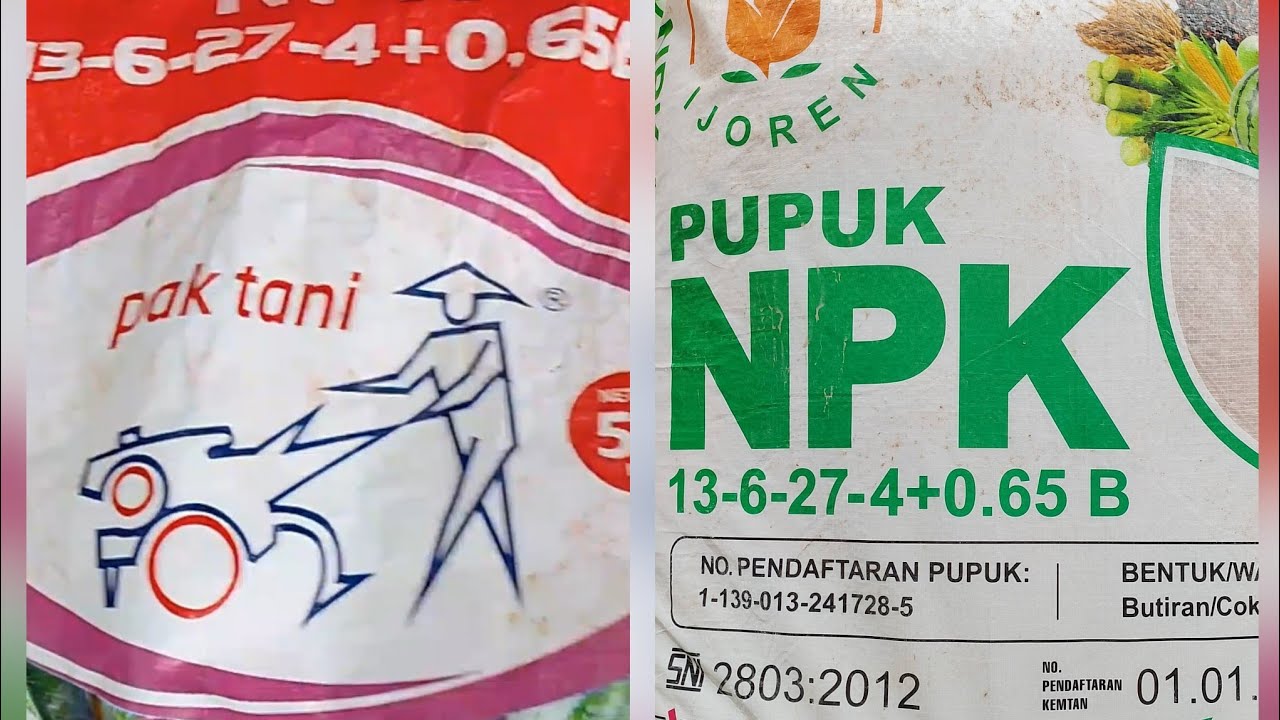 Kira kira bagaimana hasil Pupuk NPK Pak Tani dan NPK Ijoren yang kandungannya sama 