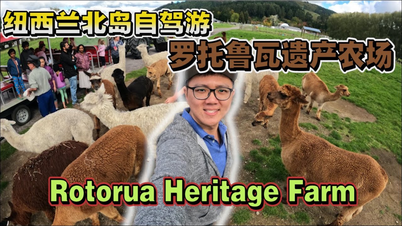 27 【AboutTwos】纽西兰北岛自驾游前往罗托鲁瓦遗产农场 | New Zealand Road Trip To Rotorua Heritage Farm (Man & ENG Sub)