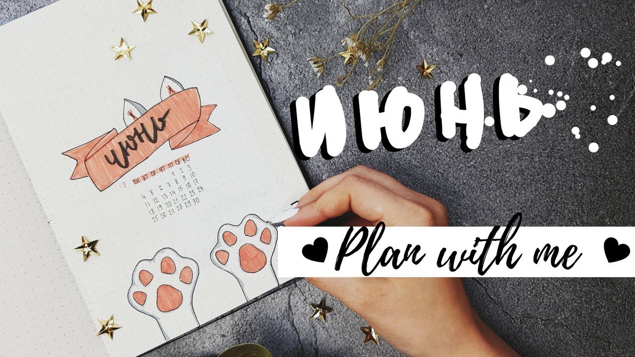 ОФОРМЛЕНИЕ ЕЖЕДНЕВНИКА ИЮНЬ || BULLET JOURNAL || Миша Пишет