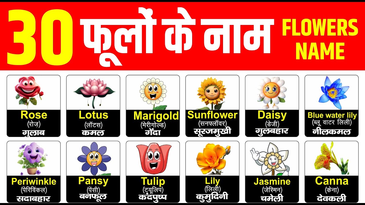 30 फूलों के नाम हिंदी और इंग्लिश में | 30 flowers name in english and hindi