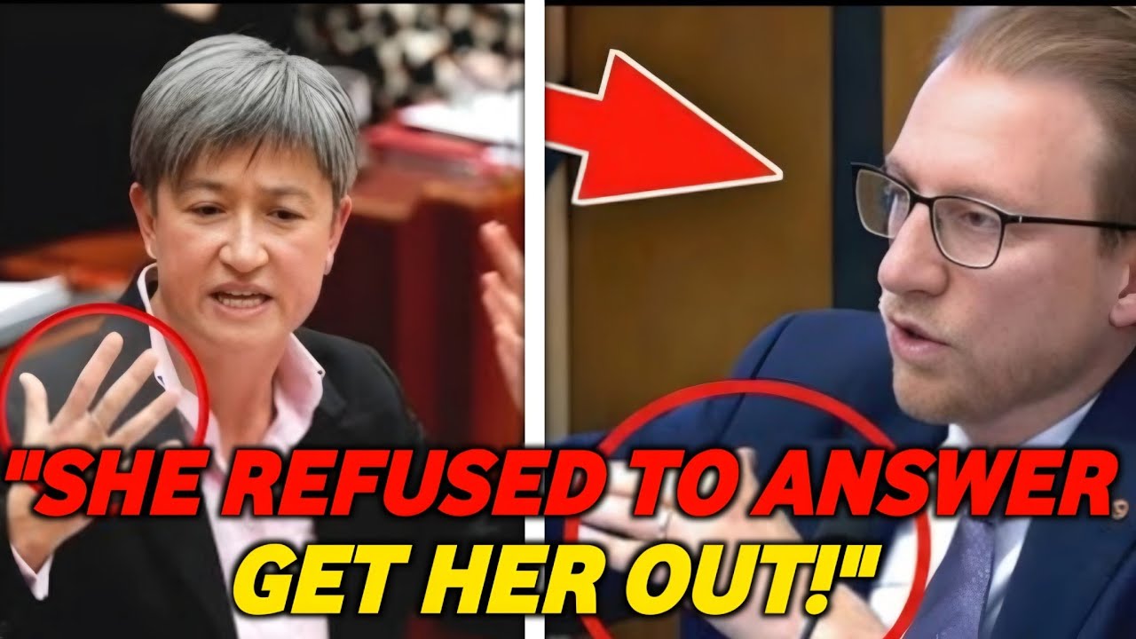 She REFUSED to Answer: Wong's Tense Senate Showdown with Paterson Goes VIRAL