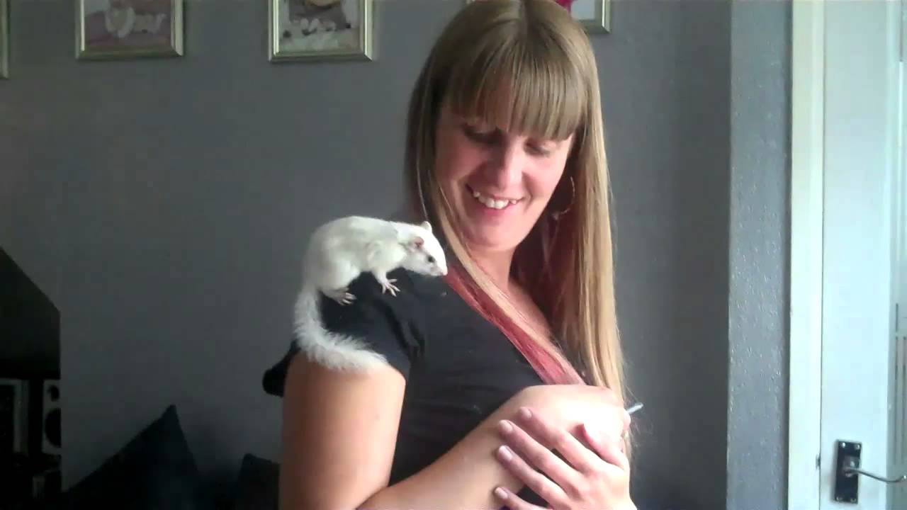 Jen and Theodore the chipmunk