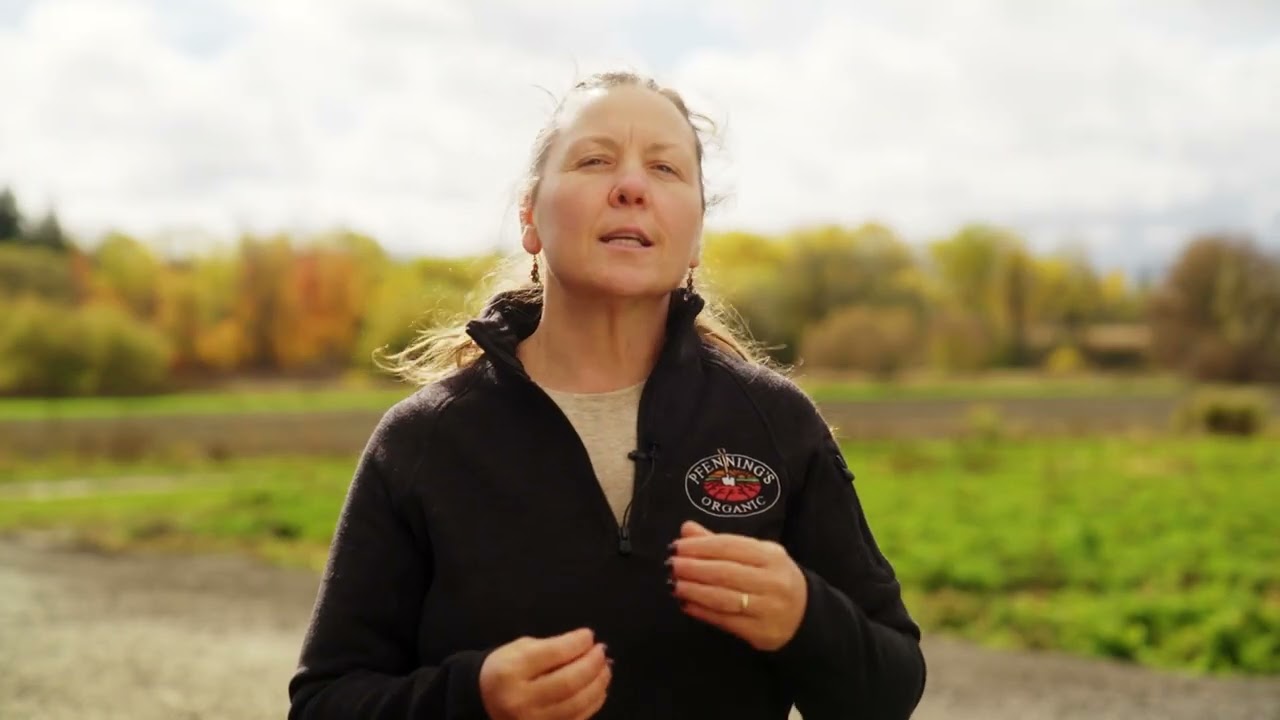 Organic: From Seed to Sale ft. Pfenning's Organic Vegetables