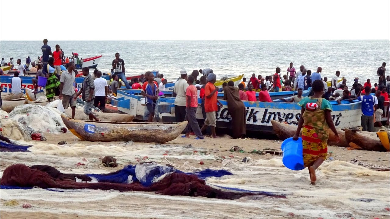 #37 Why every morning the calm turns to chaos in this fishing village I Africa Tour 2016-2017