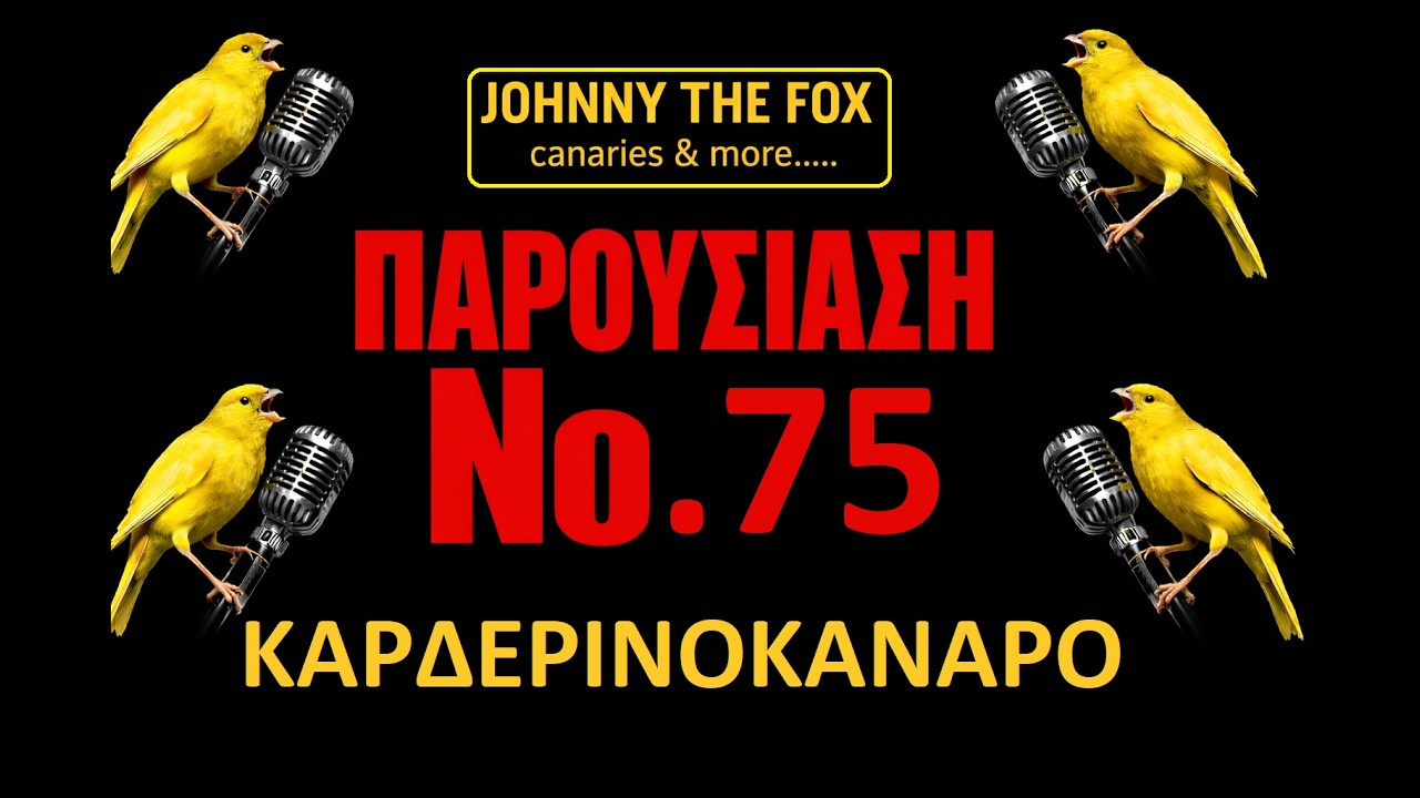 ΚΑΡΔΕΡΙΝΟΚΑΝΑΡΟ     ΠΑΡΟΥΣΙΑΣΗ Νο 75