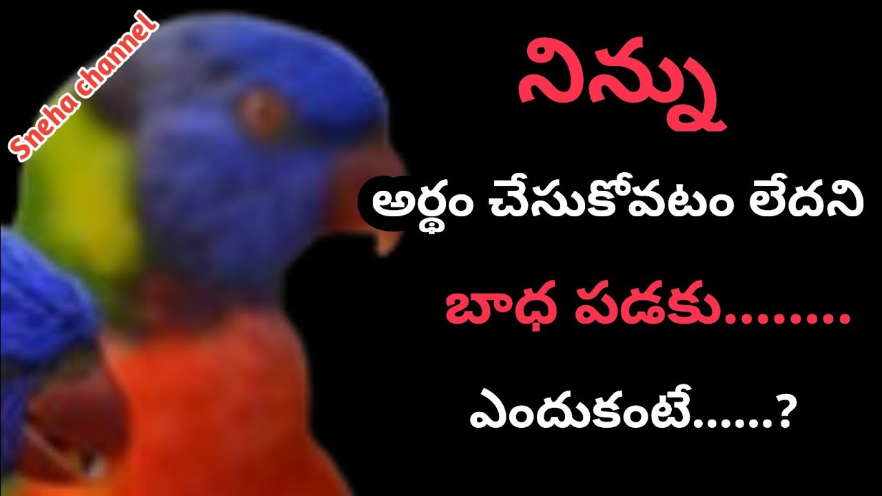 wonderful quotes#912#jivithasathyalu |Million dalar quotes |‌|Sneha channel