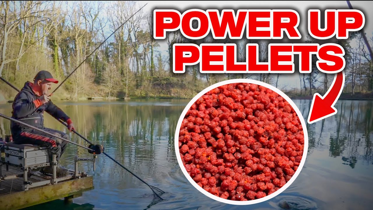 Margin Baggin' on Red Pellets