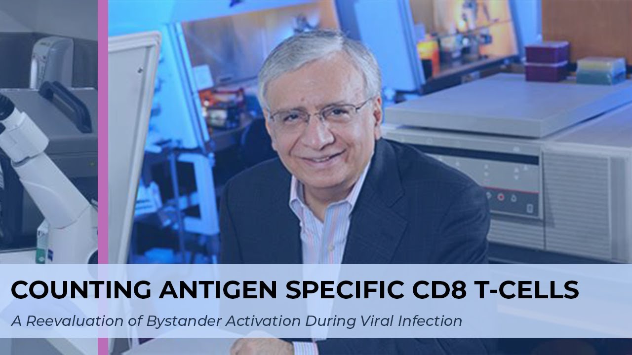 Counting Antigen-Specific CD8 T Cells: A Reevaluation of Bystander Activation during Viral Infection
