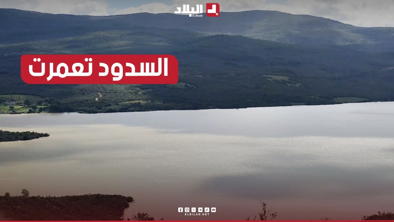 بعد تساقط أمطار الخير.. سدود ولاية الطارف تمتلئ عن آخرها.. شاهدوا: