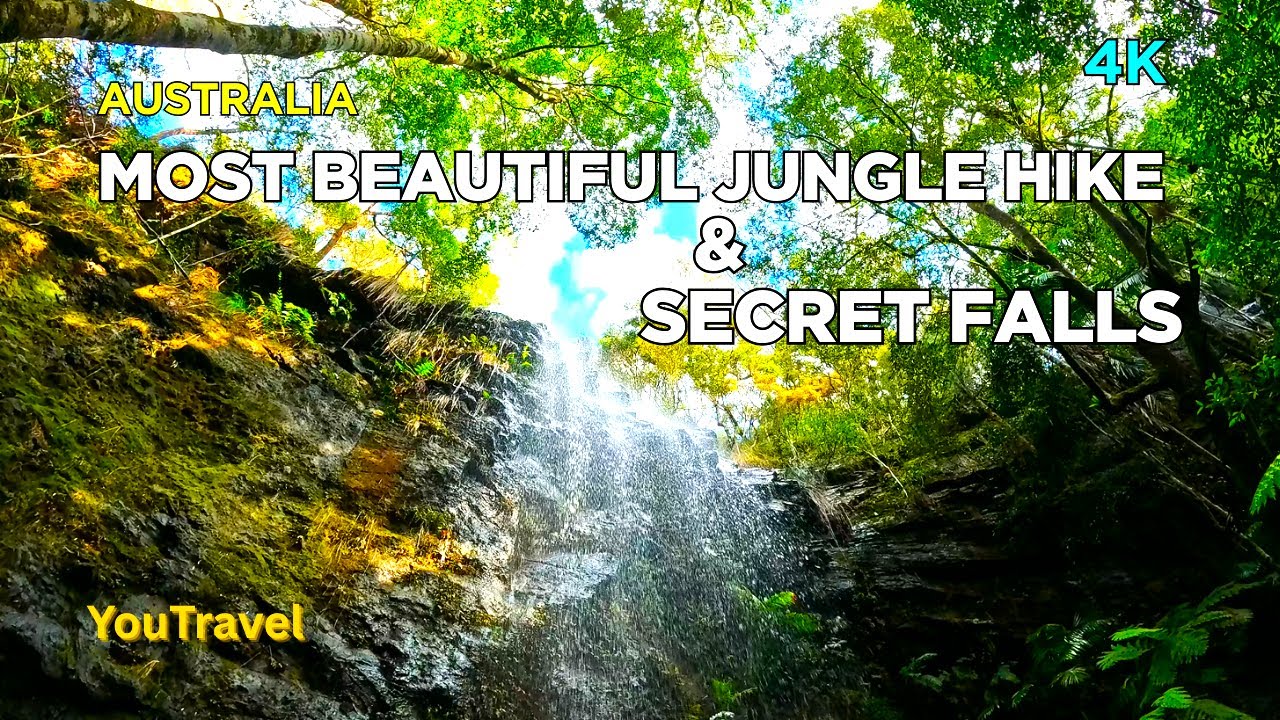 Jungle Track Adventure 🌿 | The Most Beautiful Waterfall Hike in Queensland! #TravelVlog,