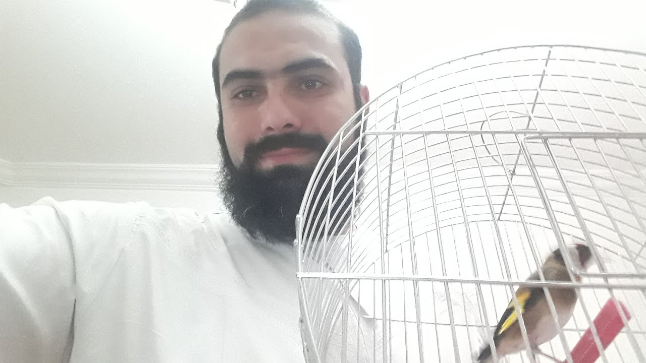 نصائح لانتاج المقنين وأكبر خطأ يجب تجنبه |معاذ تيجاني