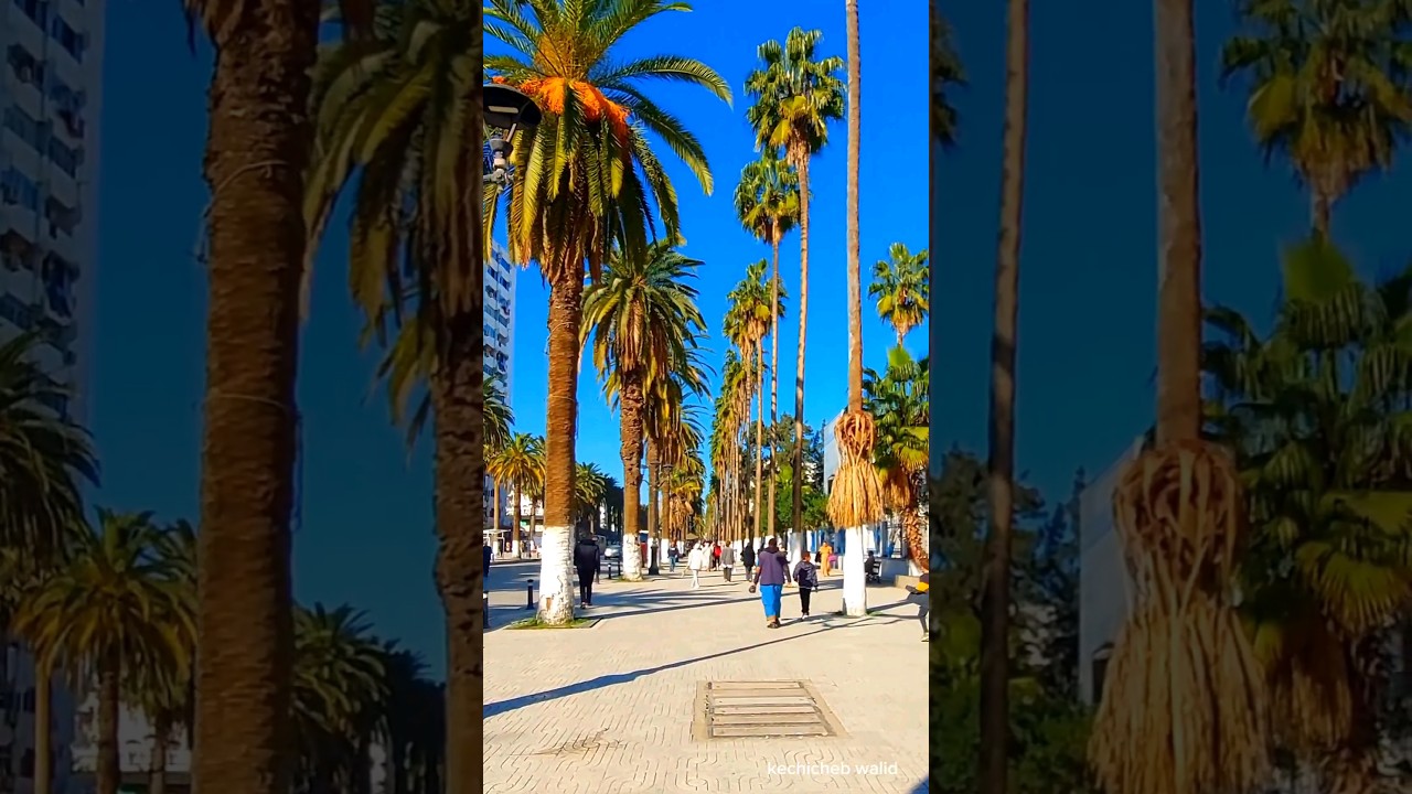 #skikda #algerie #سكيكدة #palestine