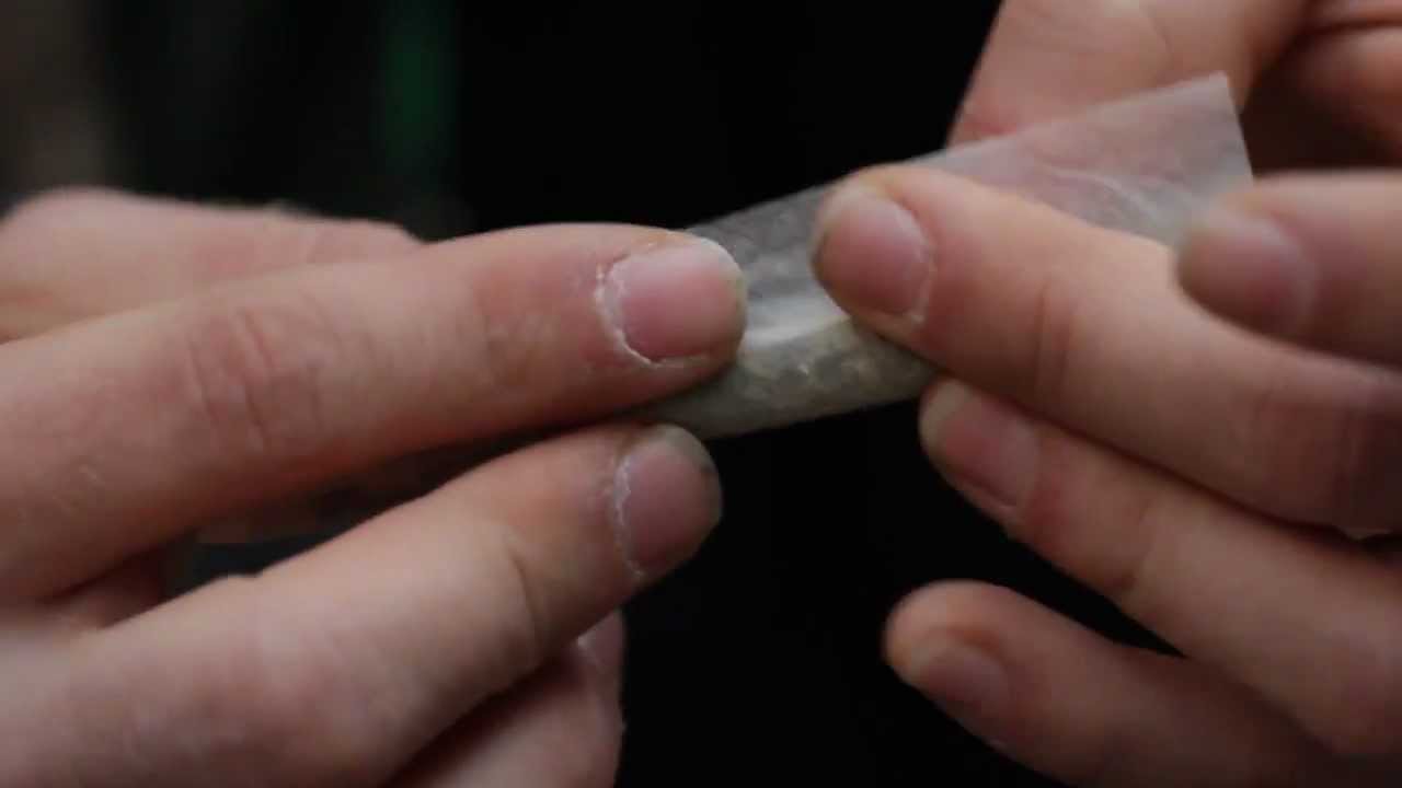 25th HIGH TIMES Cannabis Cup Highlights - Part Two