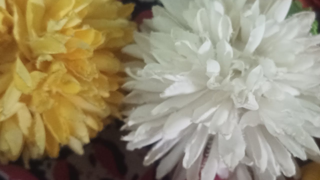 மாலை வணக்கம் உறவுகளே