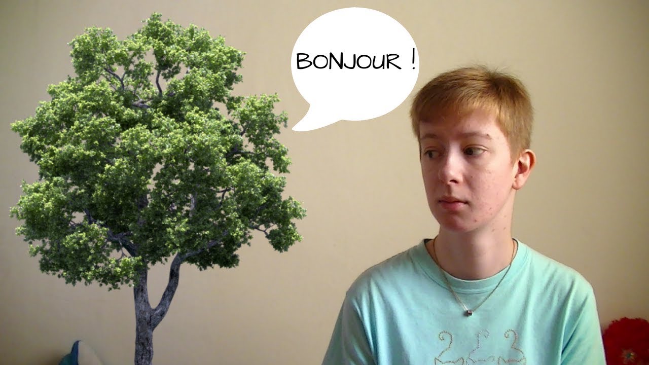JE PARLAIS AUX ARBRES | Rêverie compulsive, mon histoire
